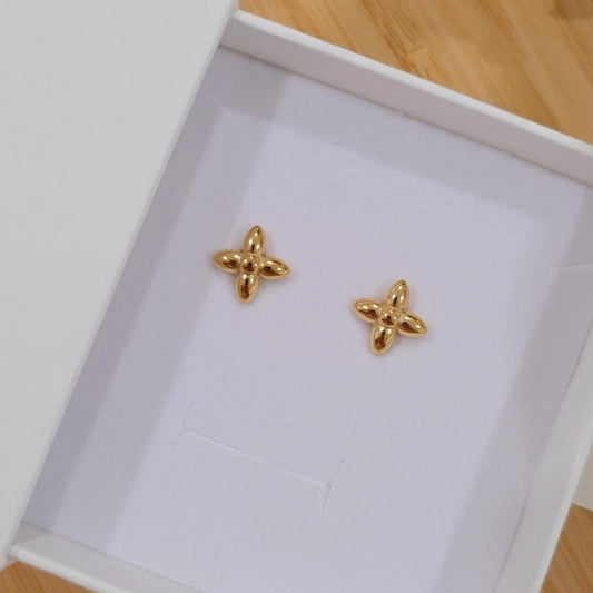 L & V Earrings
