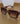 Ref XI Sunglasses