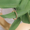 Plain Zirconia Ring