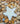 Starfish Decor Candle
