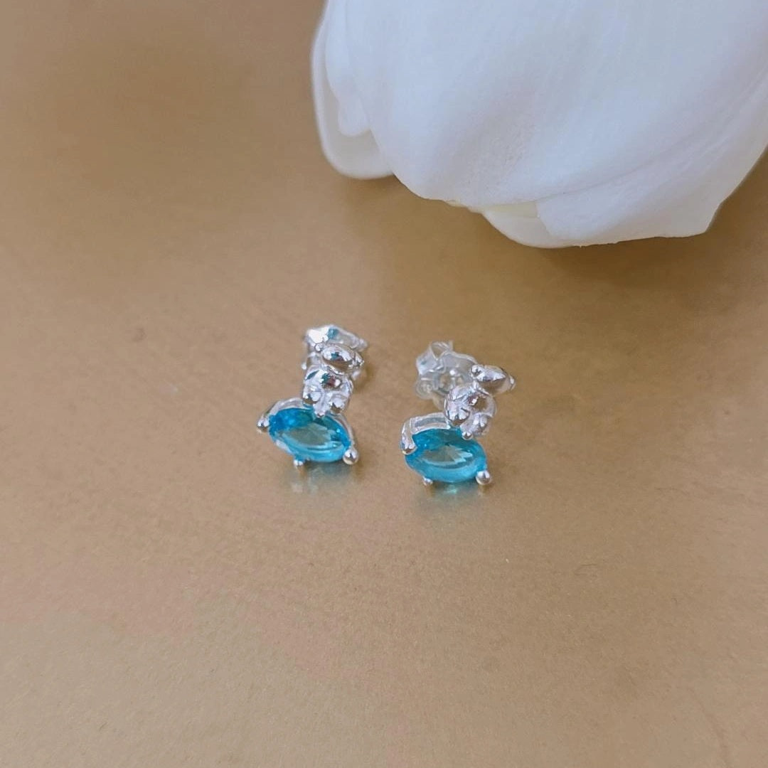 Aqua Earrings Bear