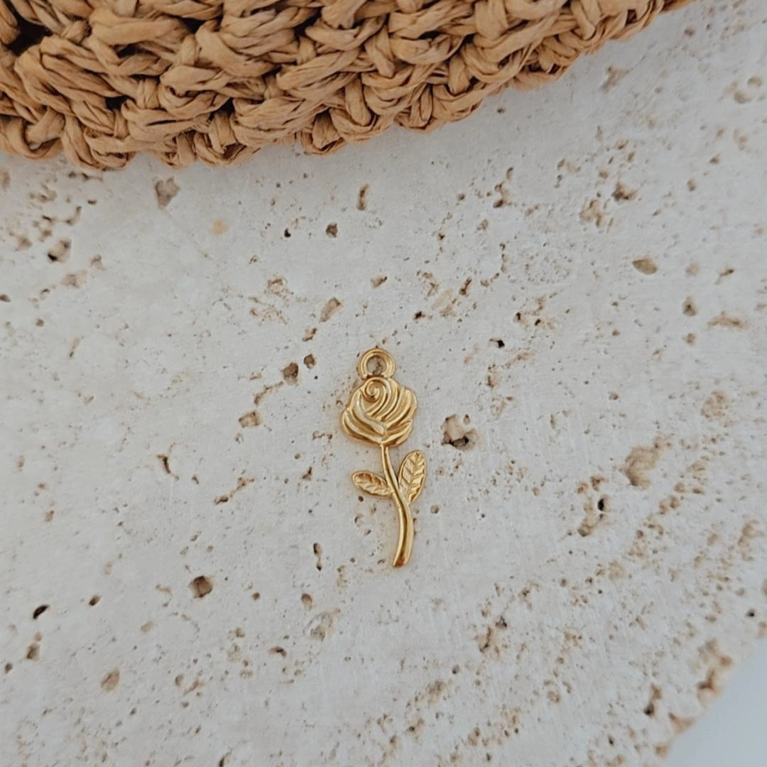 Rosita Charm