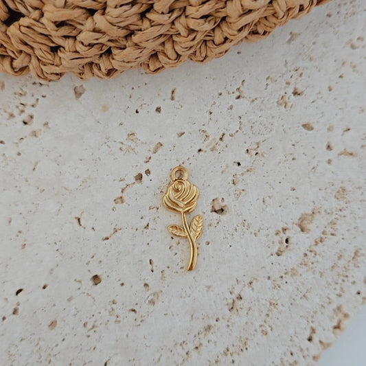 Rosita Charm